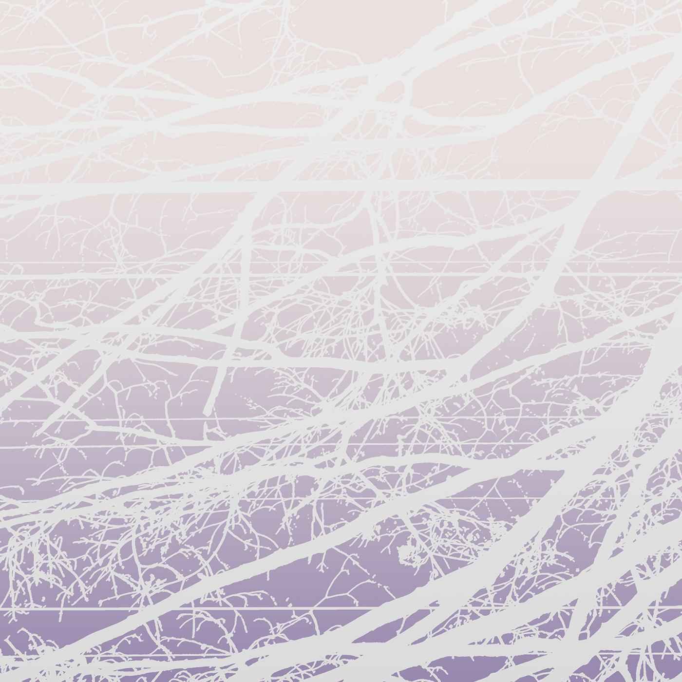 Lea Bertucci - Metal Aether [CD]