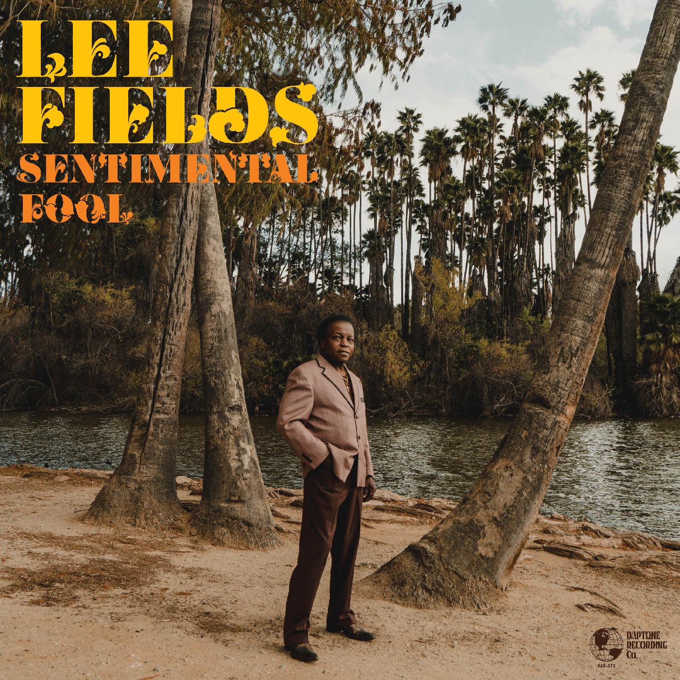 Sentimental Fool [Vinyl]