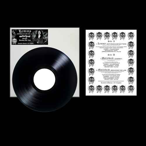 Nothing Else Matters [Vinyl]