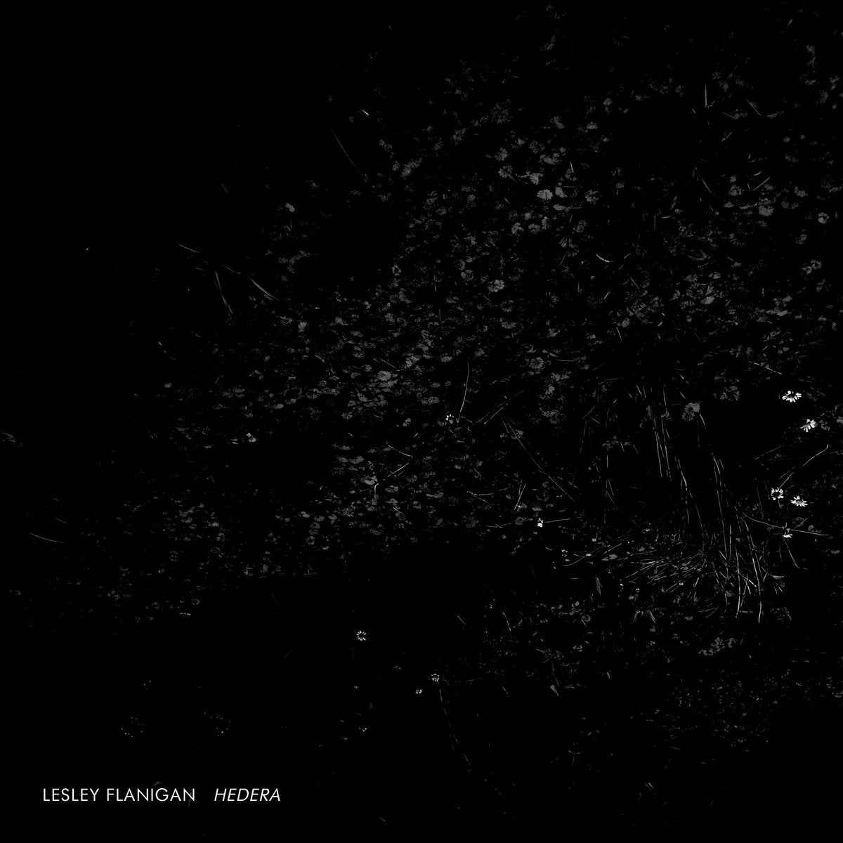 Hedera [CD]