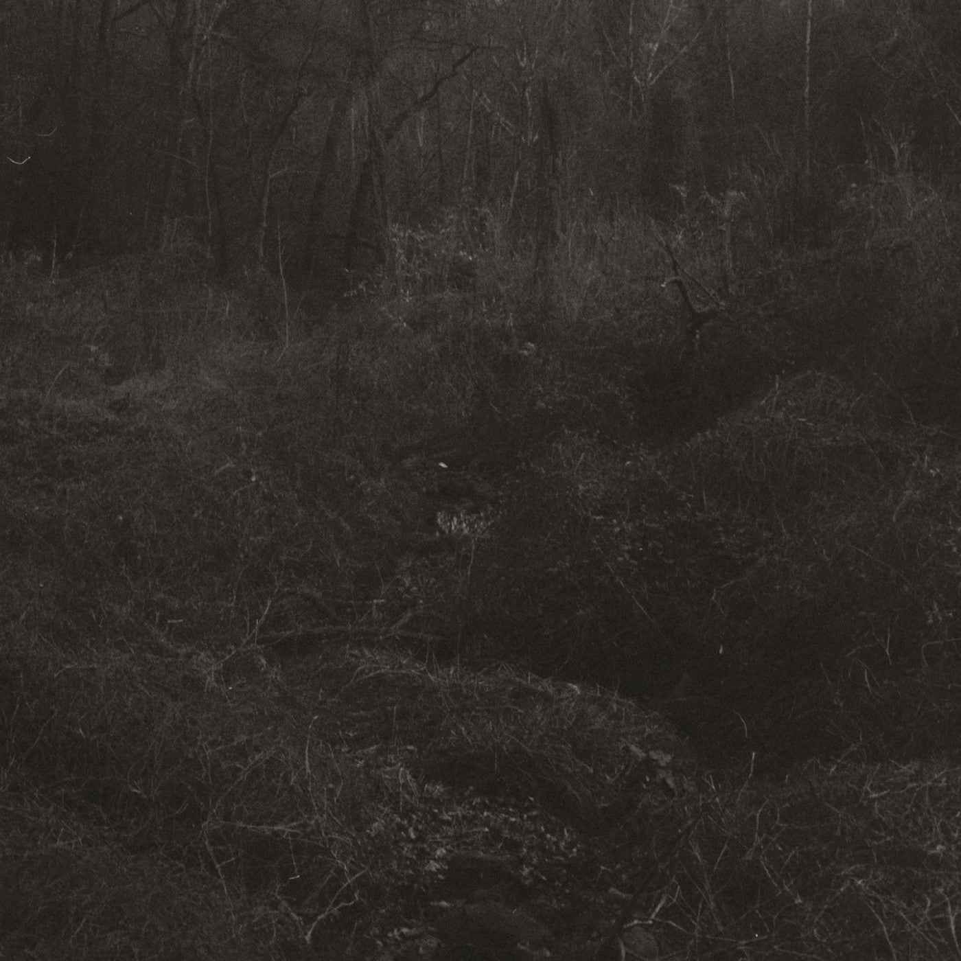 Lesley Mok - Transient [Vinyl]