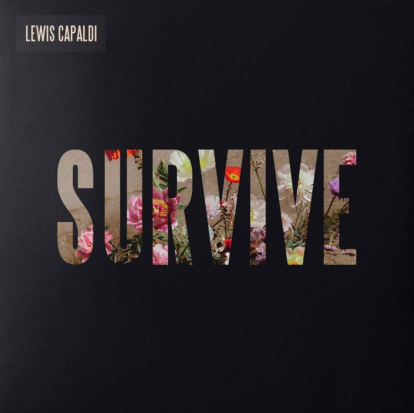 Survive [Clear 12" EP] [Vinyl]