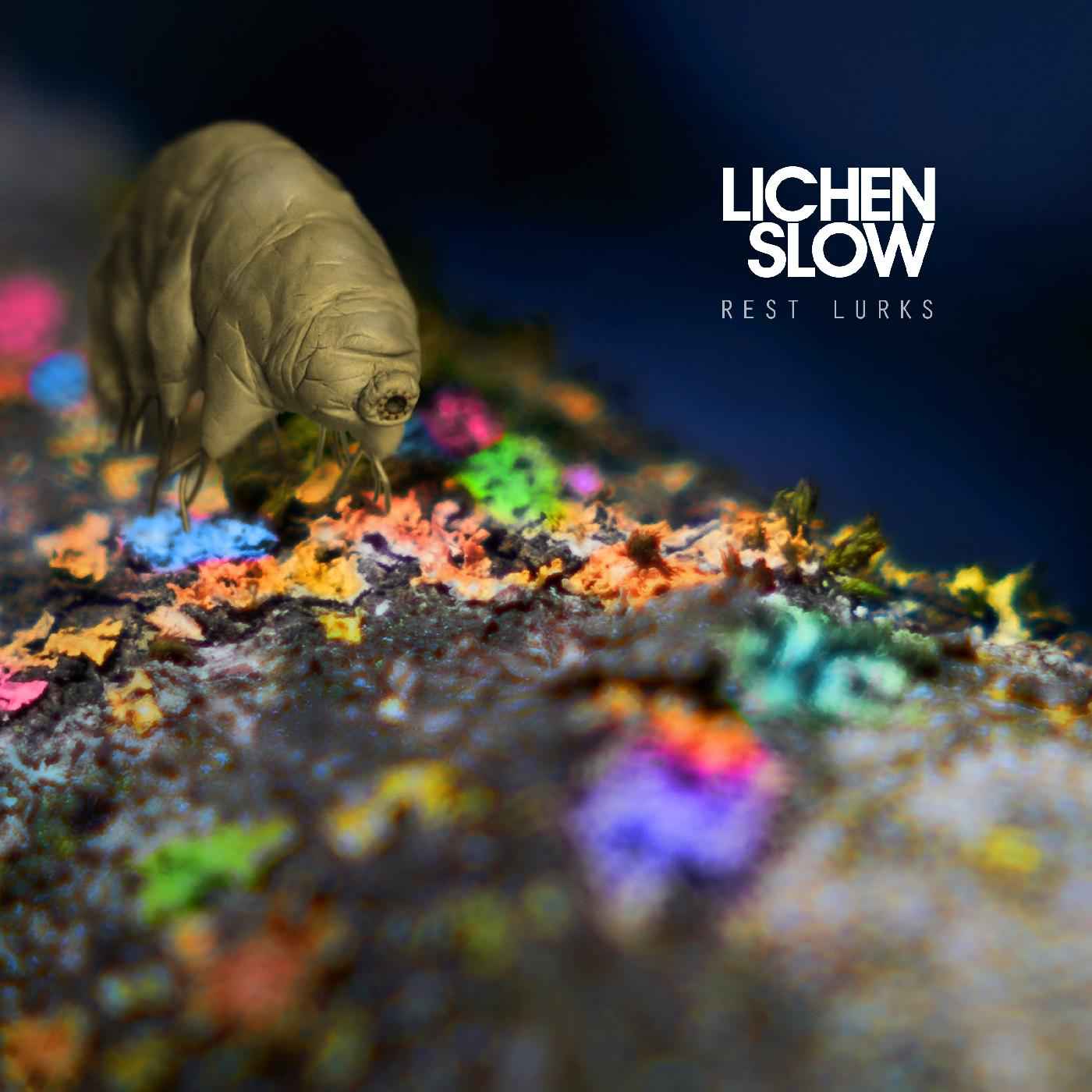 Rest Lurks [CD]