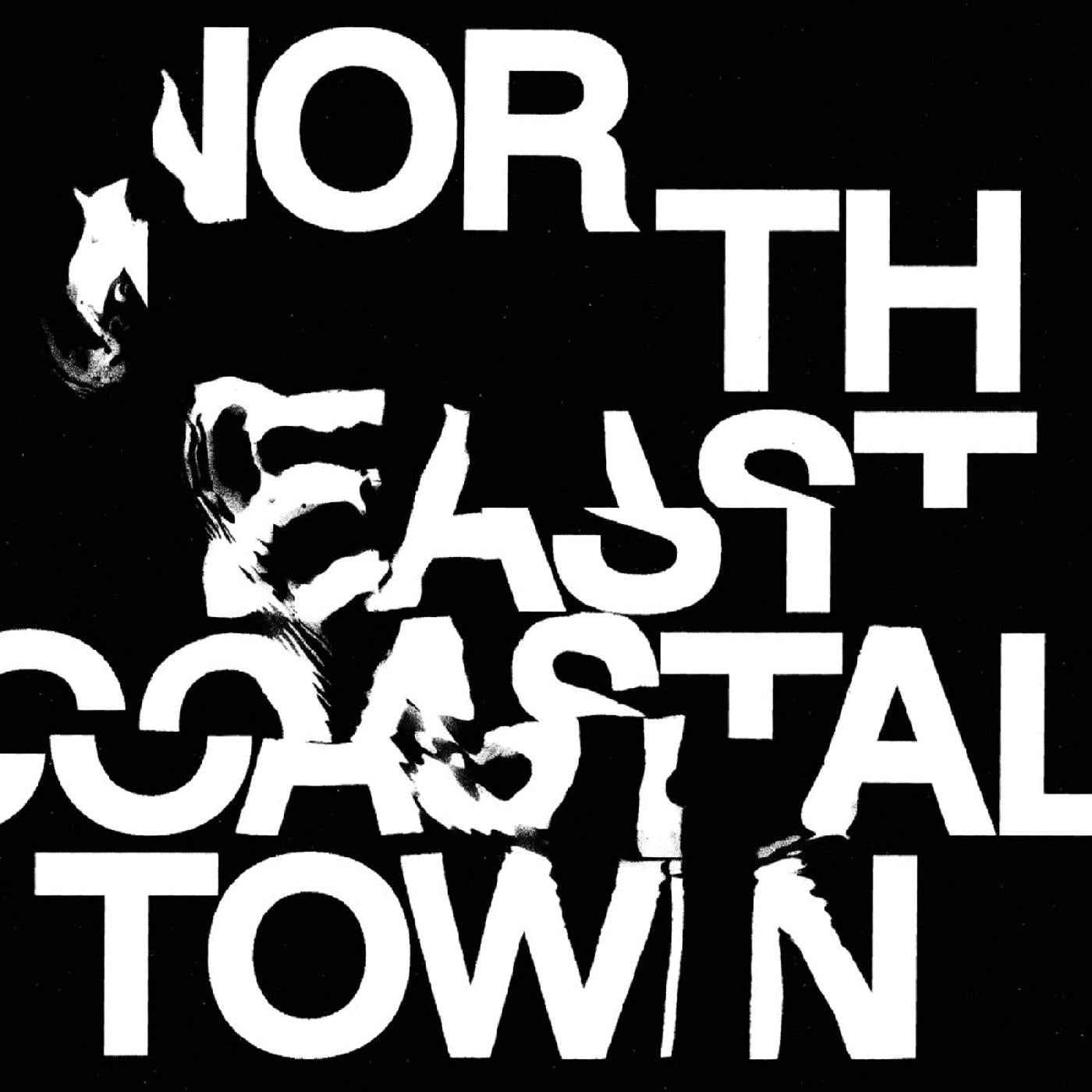 North East Coastal Town [CD]