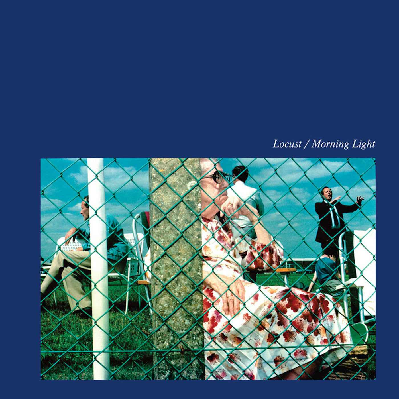 Morning Light [Vinyl]
