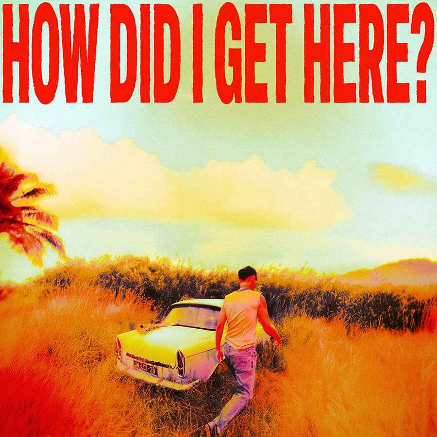 How Did I Get Here? (Indie Exclusive) [White/Yellow Marble LP] [Vinyl]