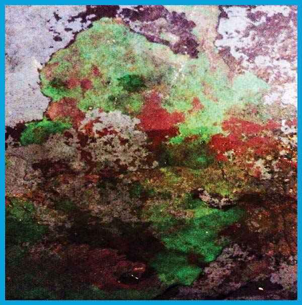 LST - Th Duo [Vinyl]