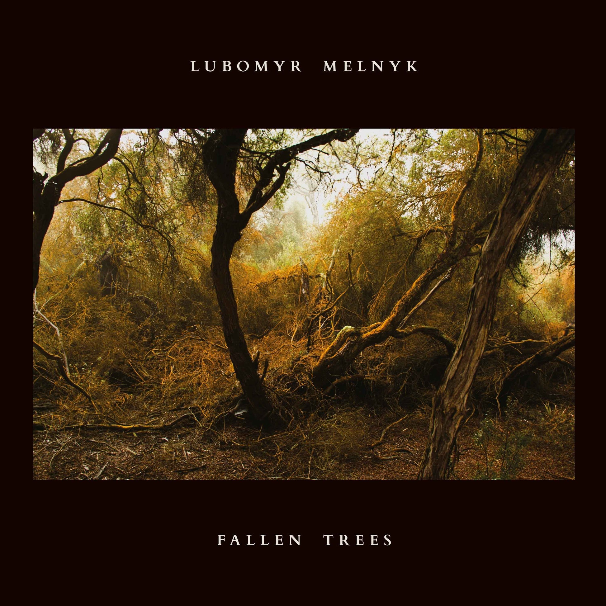 Fallen Trees [CD]