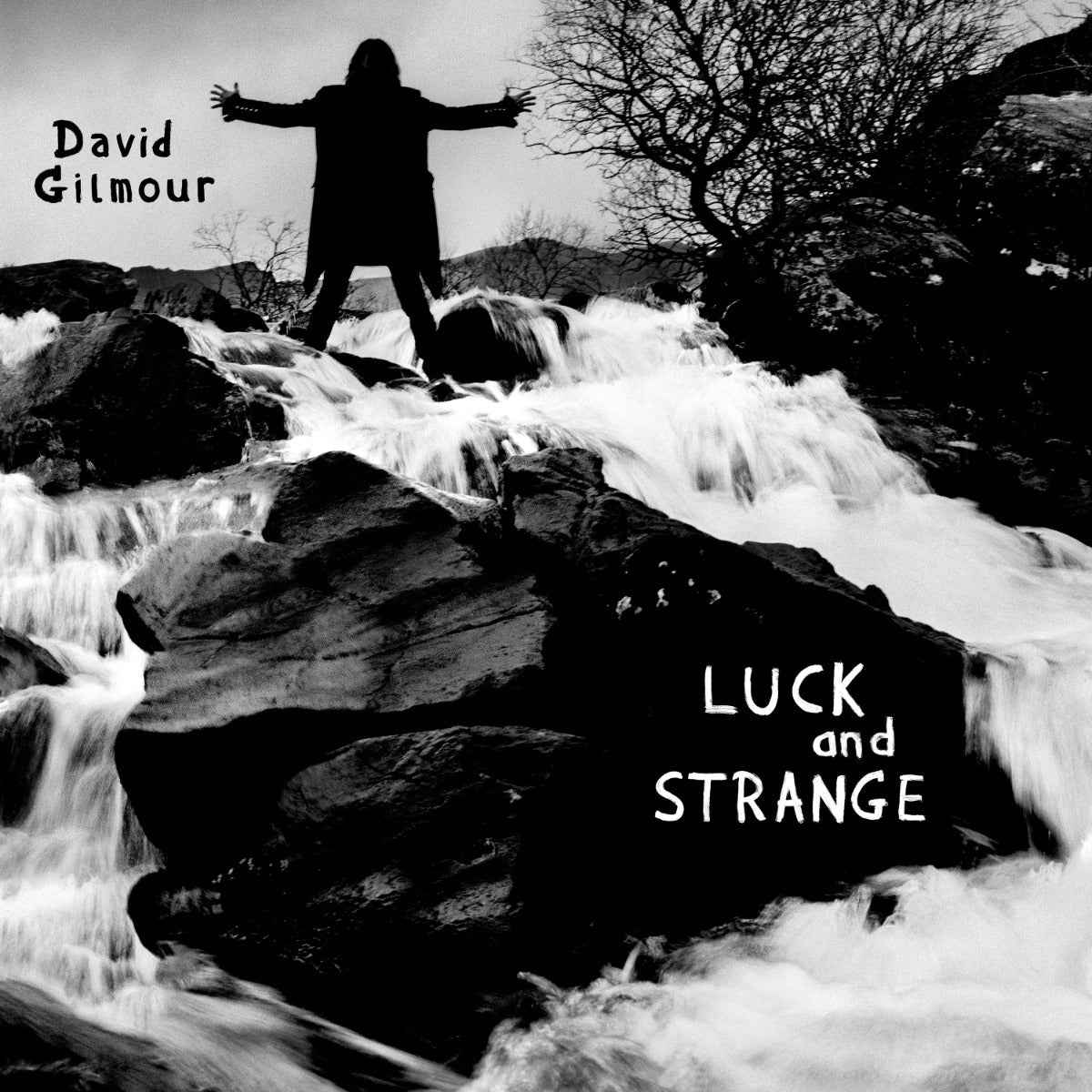 David Gilmour - Luck and Strange (Translucent Sea Blue Vinyl) [Vinyl]