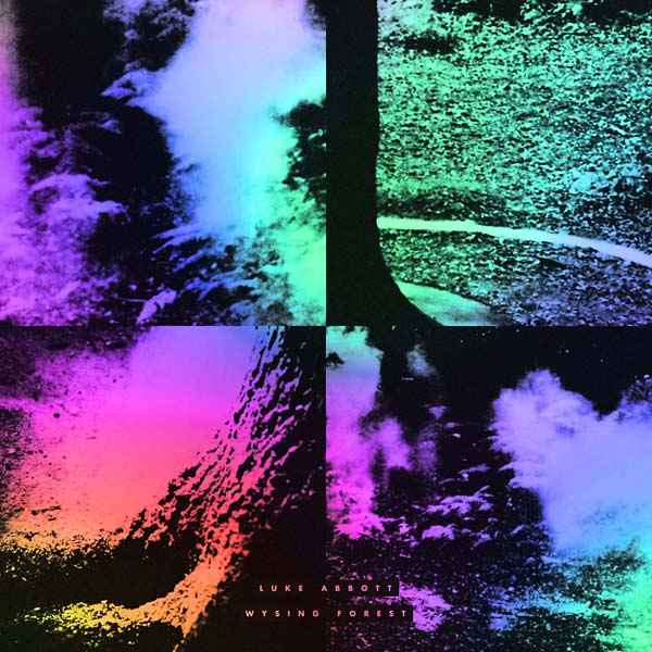 Wysing Forest [CD]