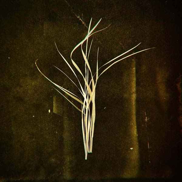 Mnemosyne [Vinyl]
