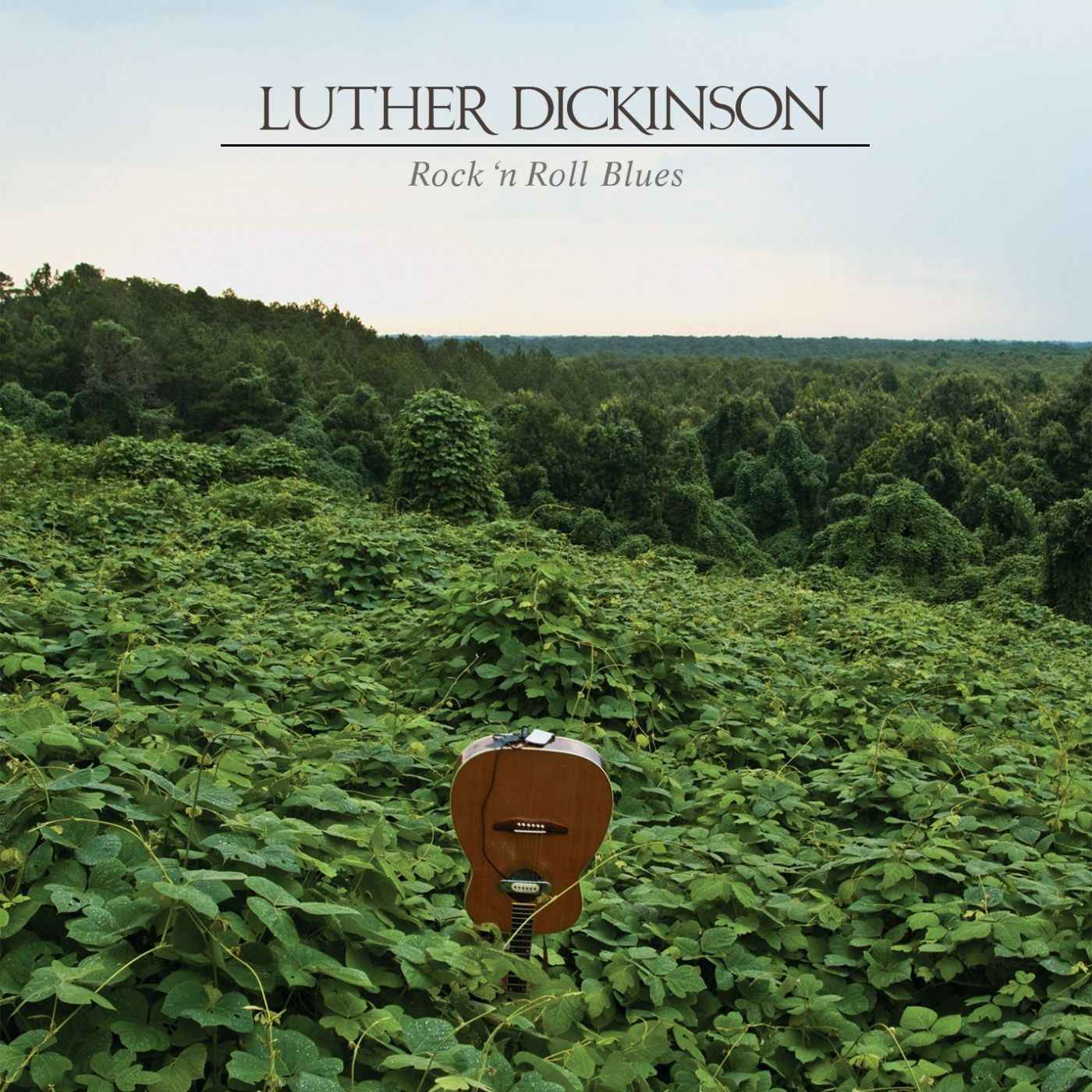 Rock 'n Roll Blues (TRANSLUCENT GREEN VINYL) [Vinyl]