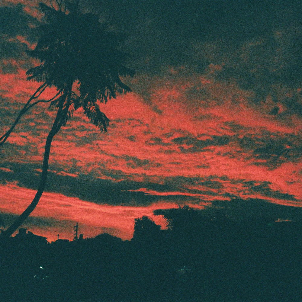 Malena Zavala - Aliso [Vinyl]