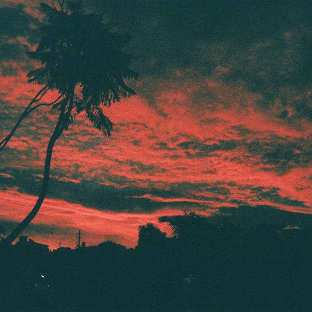 Aliso [CD]