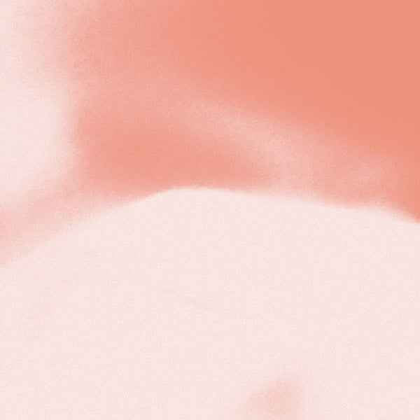 For Leolanda [CD]