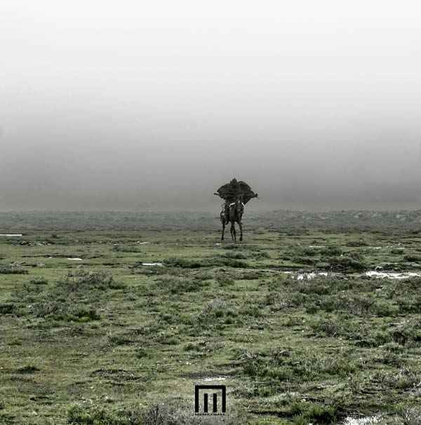 MARKUS WORMSTORM - Figure In Field [Vinyl]