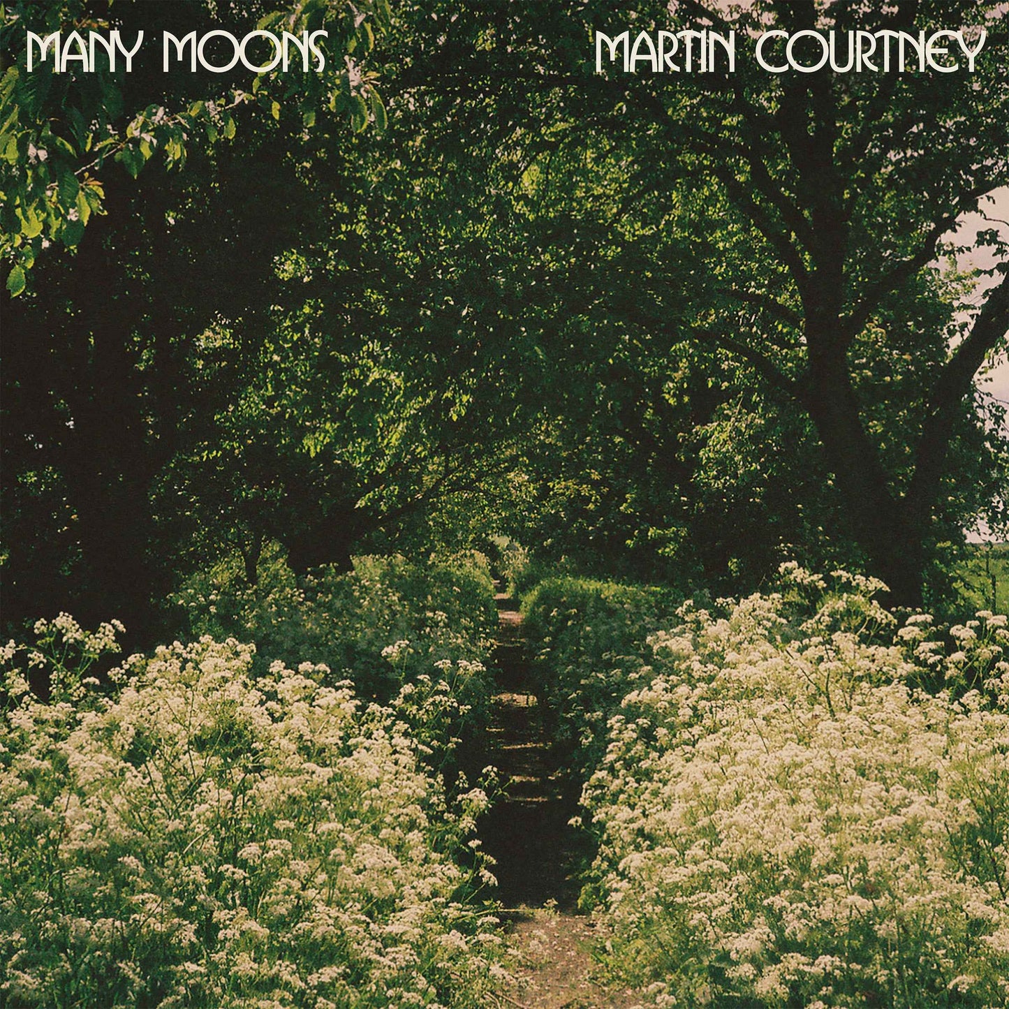 Many Moons [Vinyl]