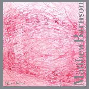Sibyl Tones [CD]