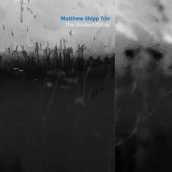 The Unidentifiable [CD]