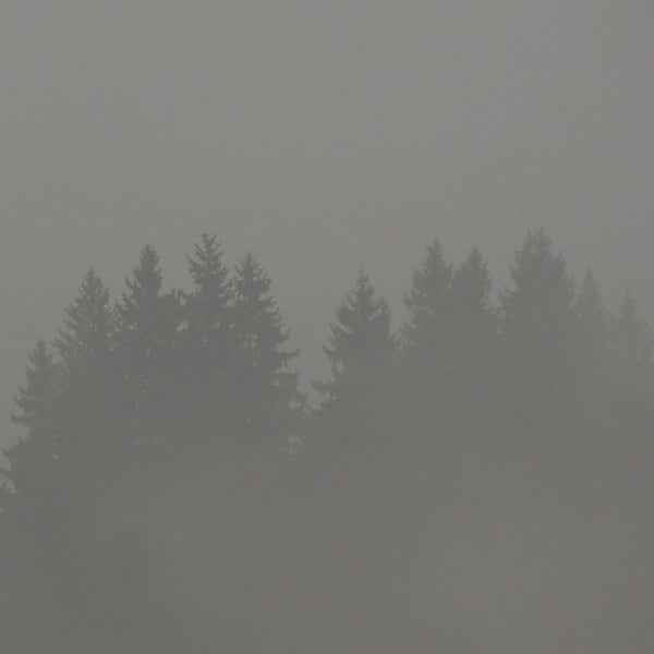 MAX LODERBAUER - Donnerwetter [Vinyl]