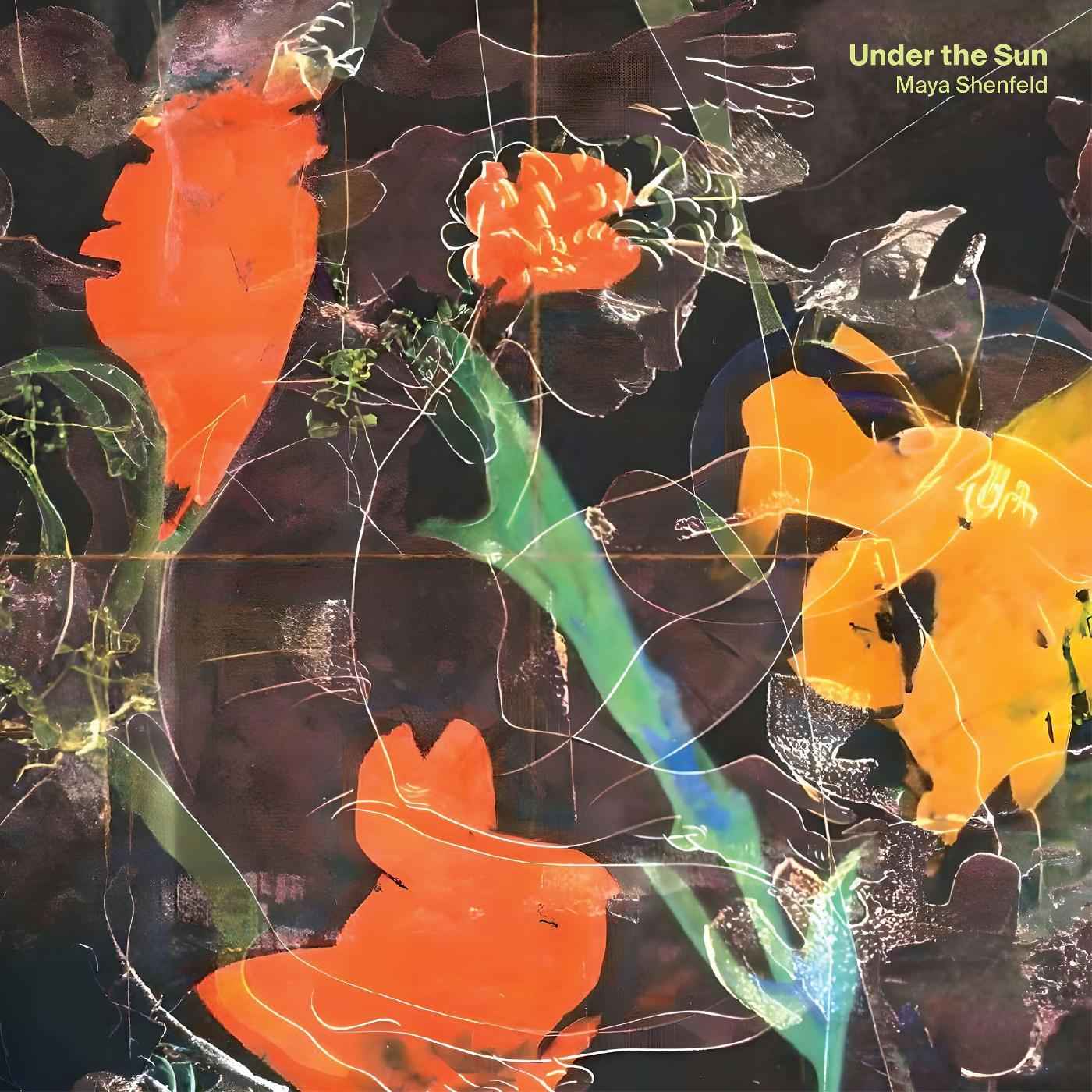 Under the Sun [CD]
