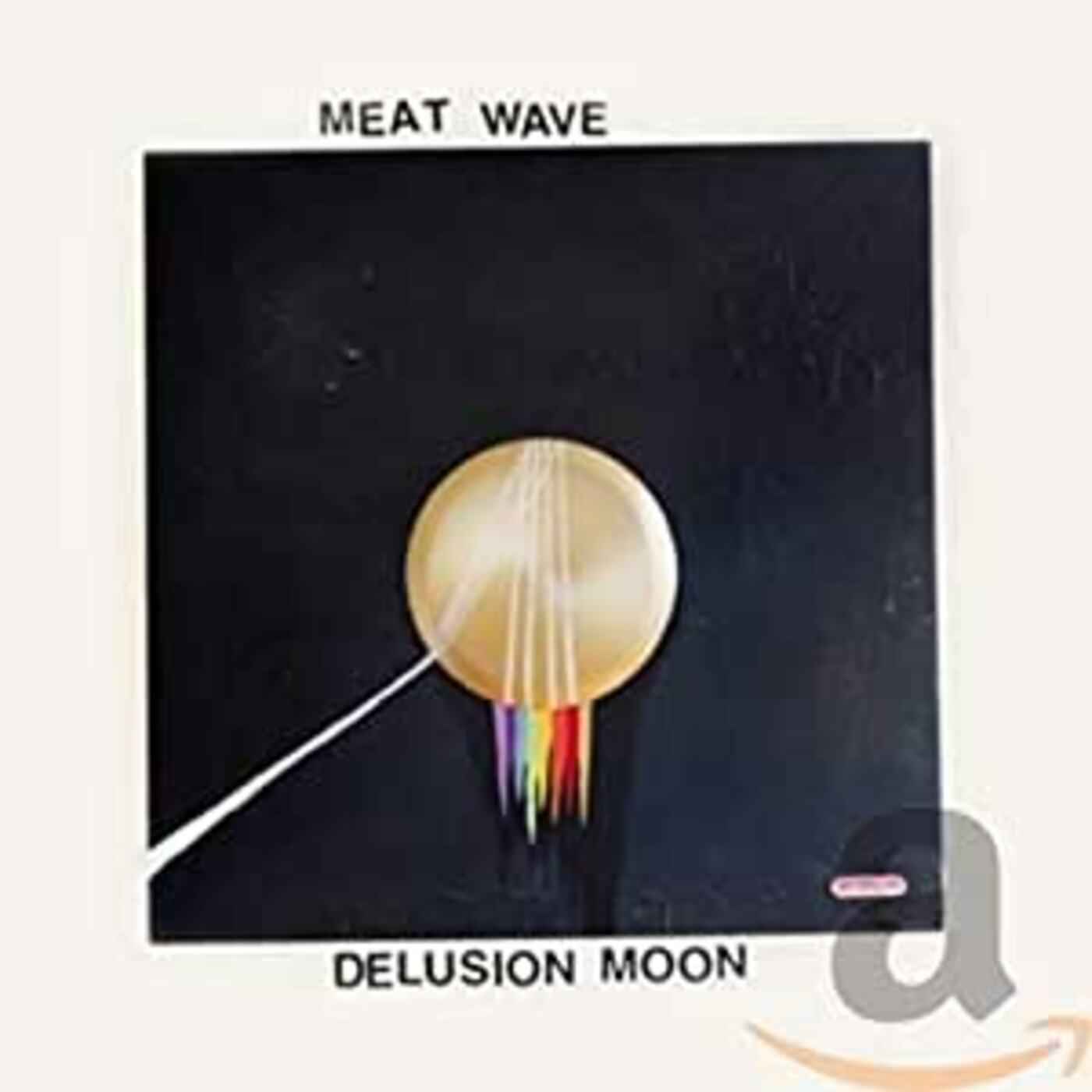 Delusion Moon [CD]