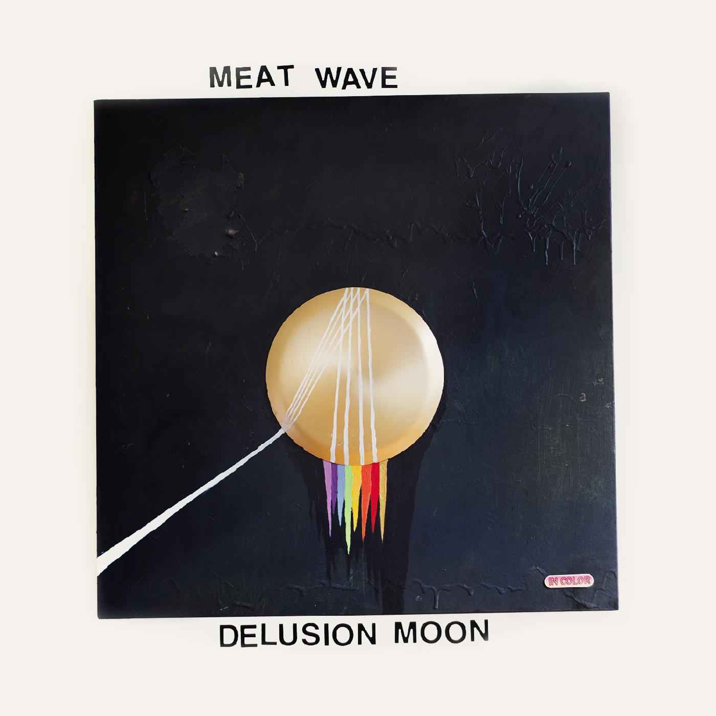 Delusion Moon [Vinyl]