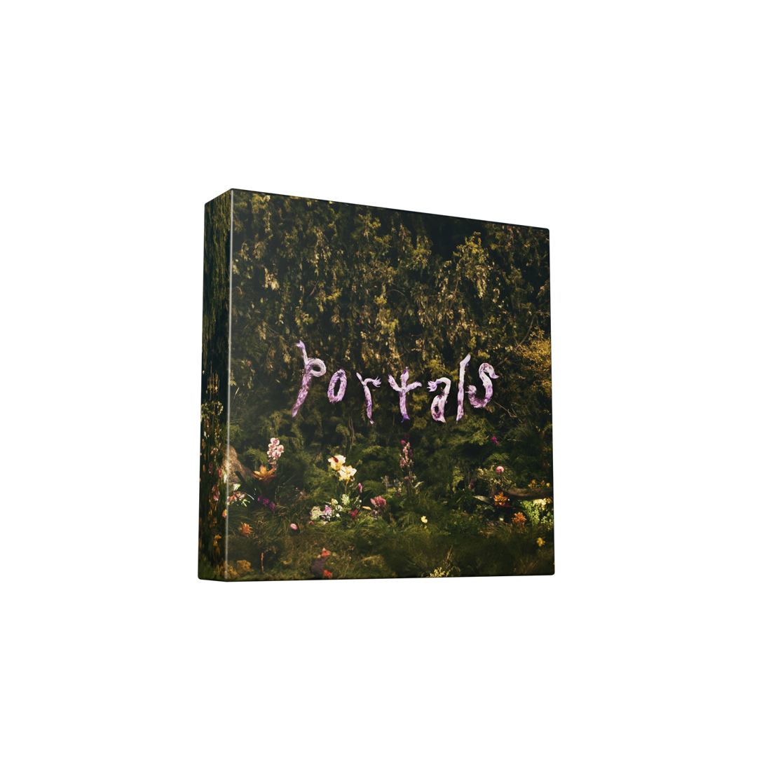 Portals (Deluxe) [2LP Vinyl] [Vinyl]