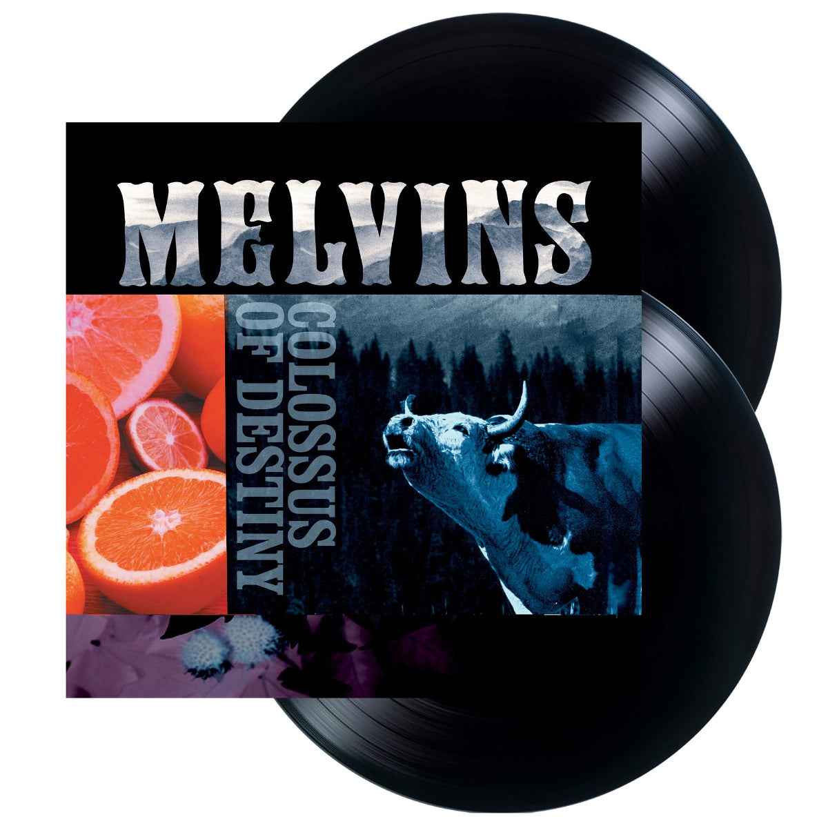 Colossus Of Destiny (2LP Vinyl Reissue) [Vinyl]