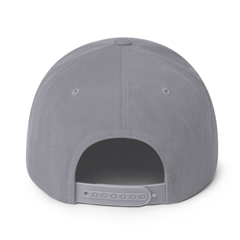 MERCHMOMENT HIM Classic Logo Grey Embroidered Snap Back Hat [Apparel] - Rock Band Apparel