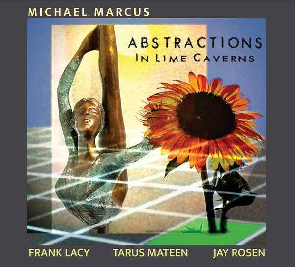 Abstractions in Lime Caverns [CD]