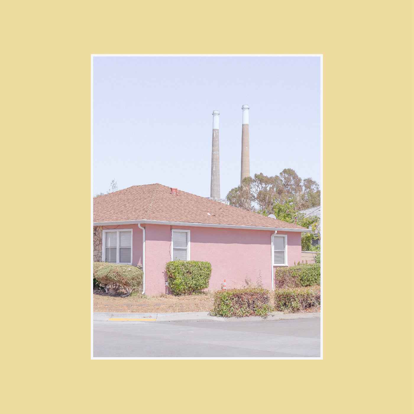 The Tinnitus Chorus [Vinyl]