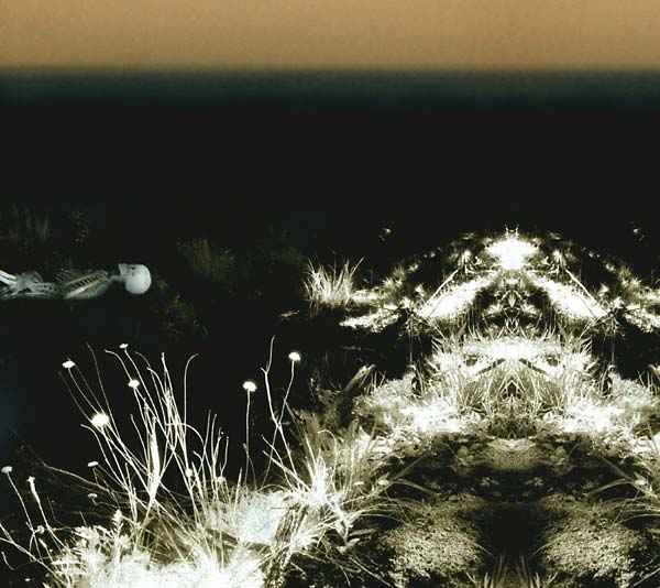 Ohrwurm [CD]