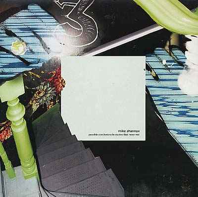 MIKE SHANNON - Possible Conclusions to Stories That Never End [Vinyl]