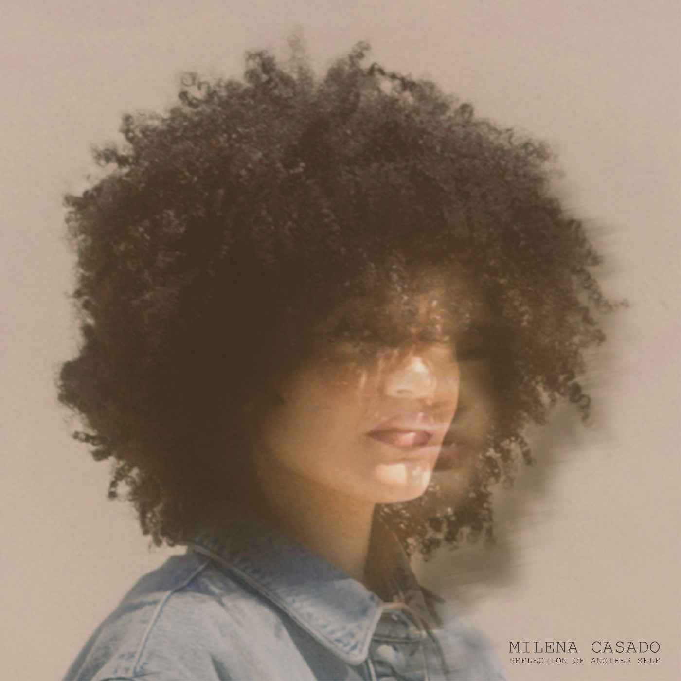 Reflection Of Another Self [Vinyl]