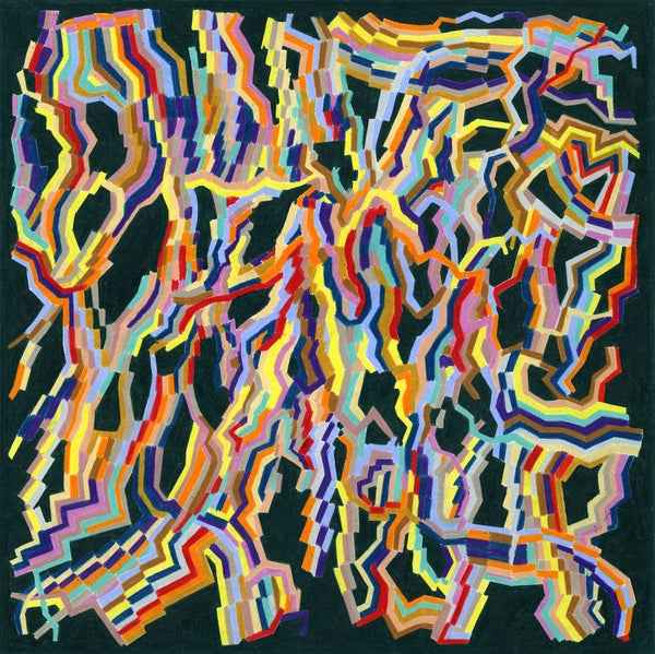 Invisible Lands [Vinyl]