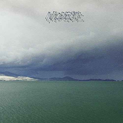 Modest Mouse - The Fruit That Ate Itself [Vinyl]