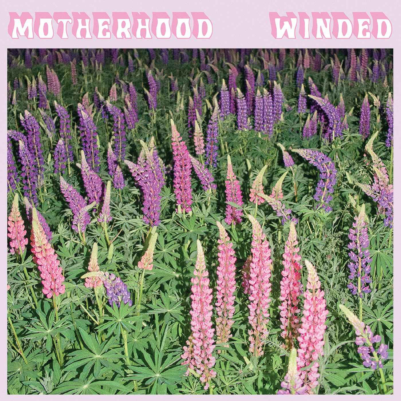 Winded [CD]