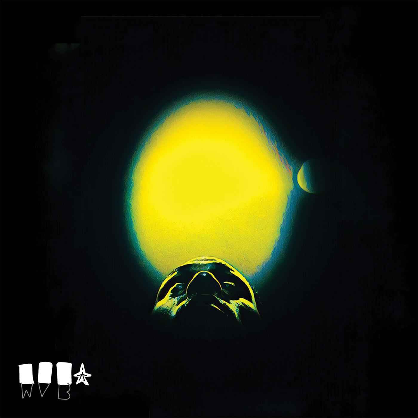 The Cycle (Clear Vinyl) [Vinyl]