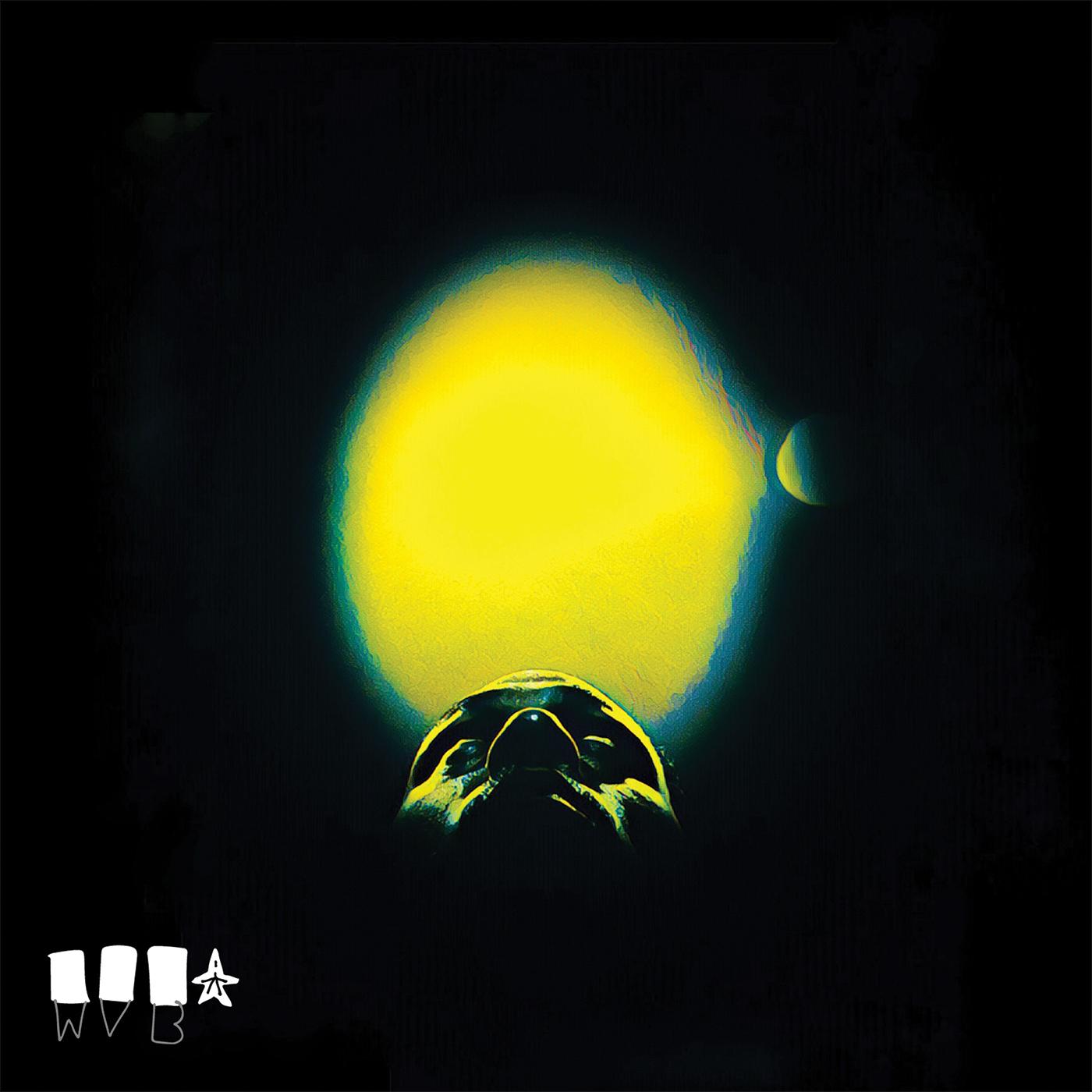 The Cycle [CD]