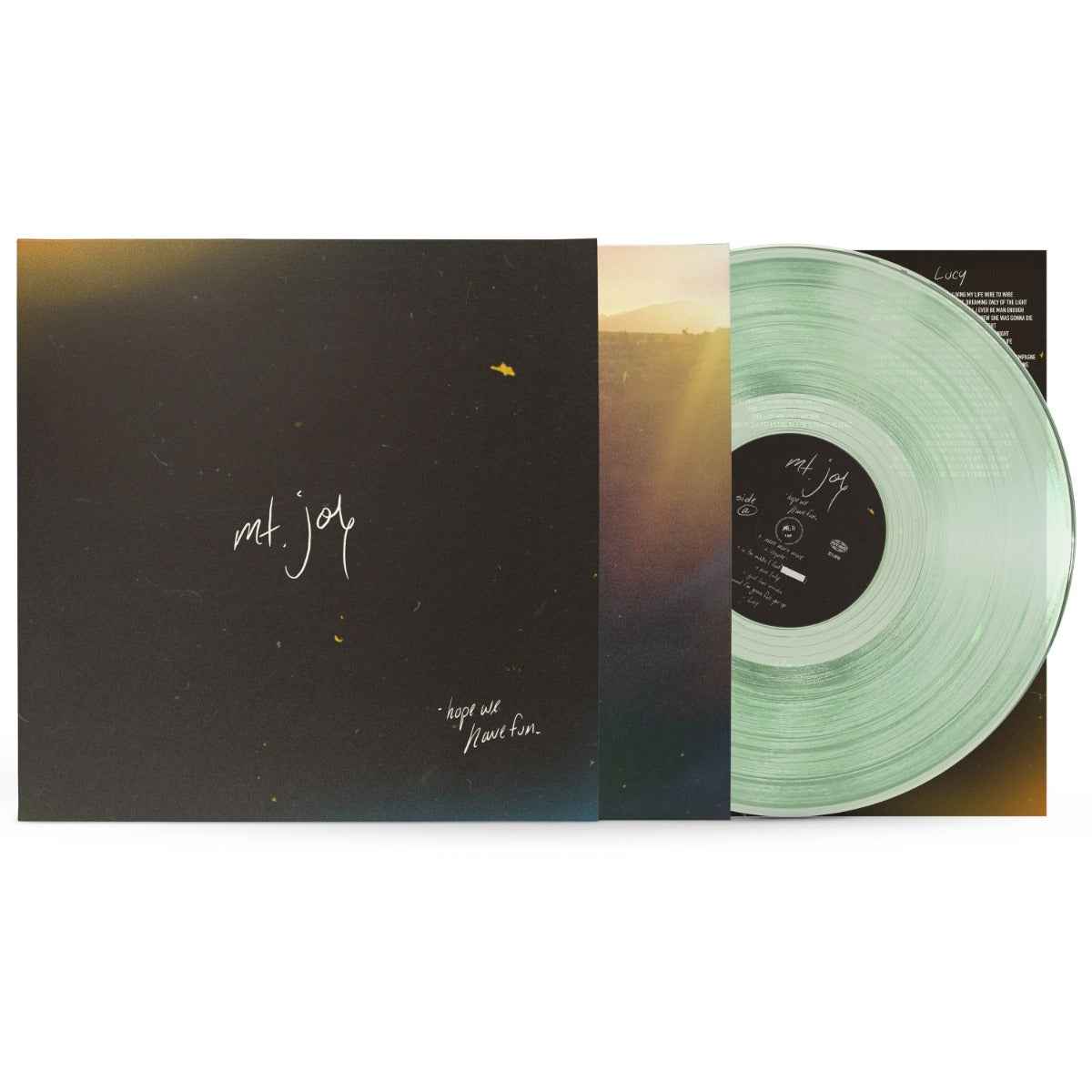 Hope We Have Fun [180g Coke Bottle Clear LP] [Vinyl]