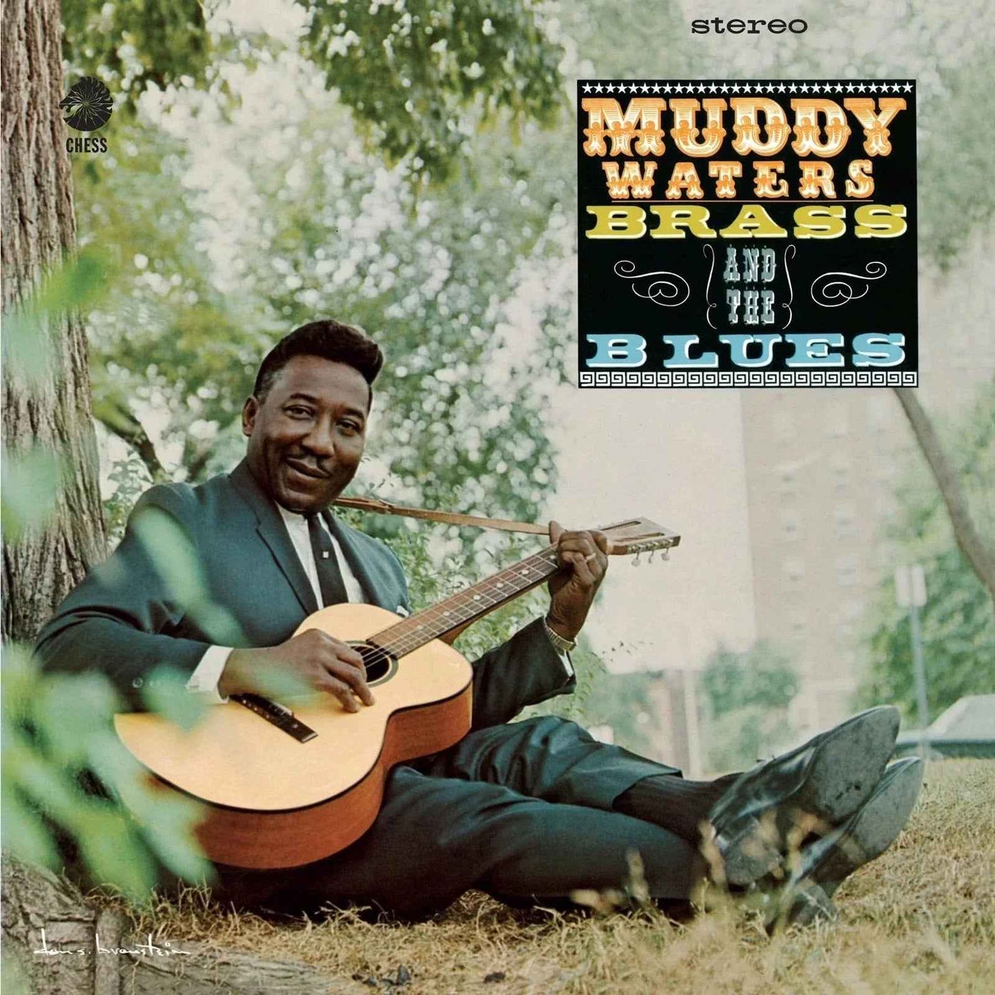 Muddy Waters - Muddy, Brass And The Blues (Chess Acoustic Sounds Series) [180G LP] [Vinyl]