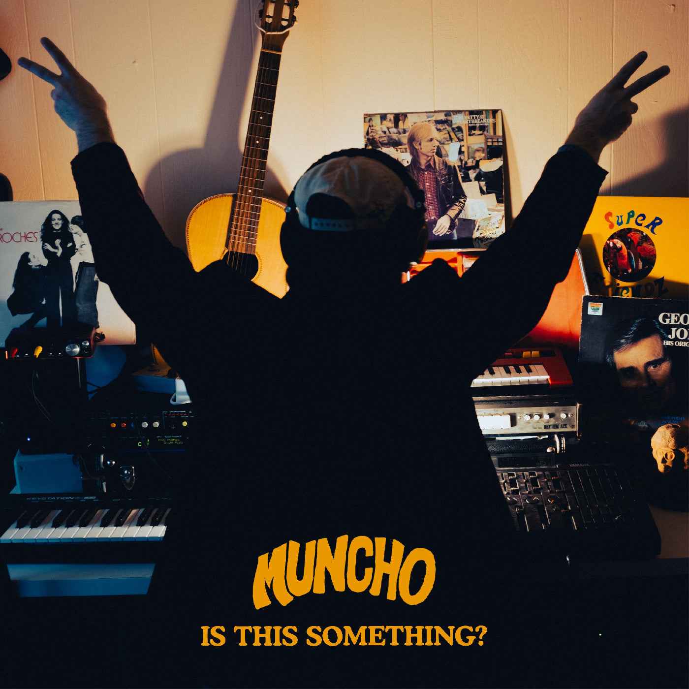 Is This Something? [Vinyl]