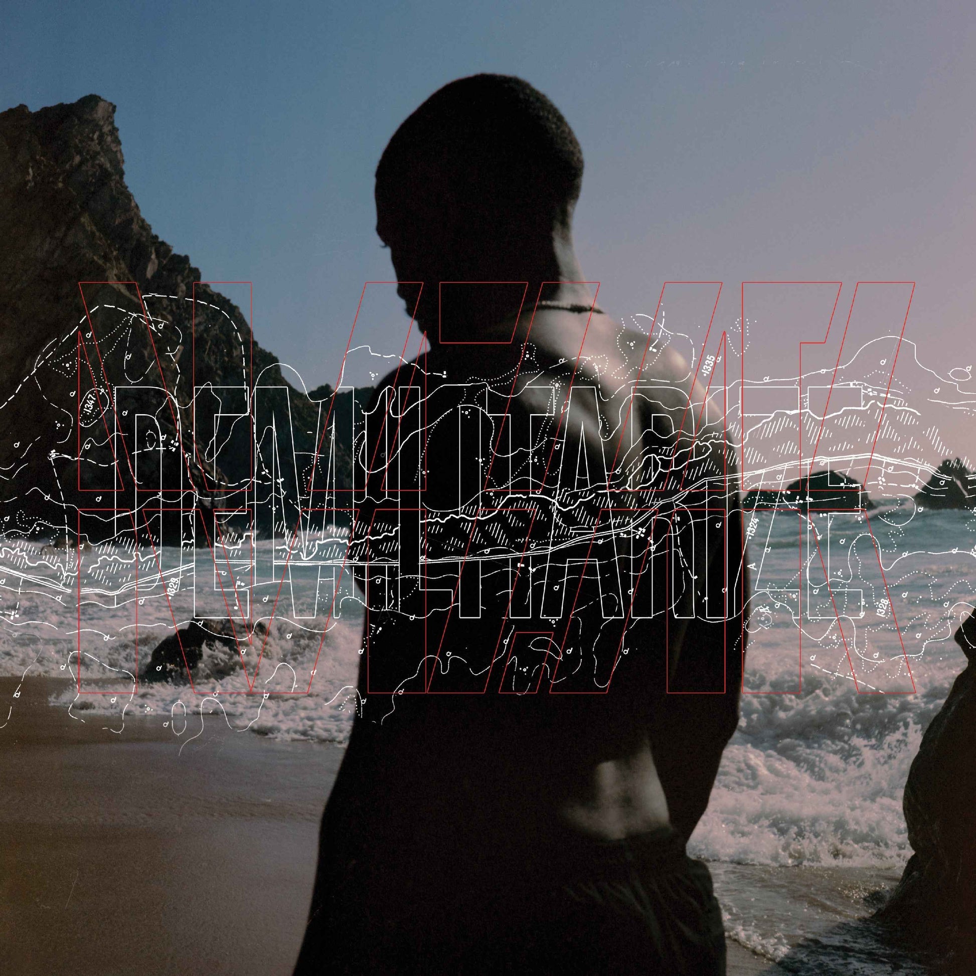 Demilitarize [Vinyl]