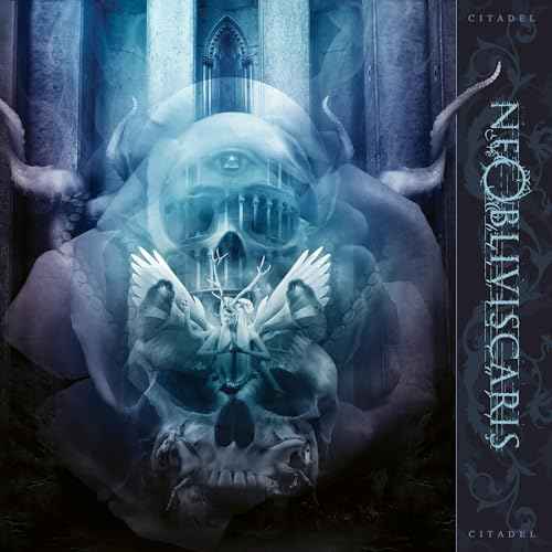 Citadel (10Th Anniversary Edition) [Vinyl]