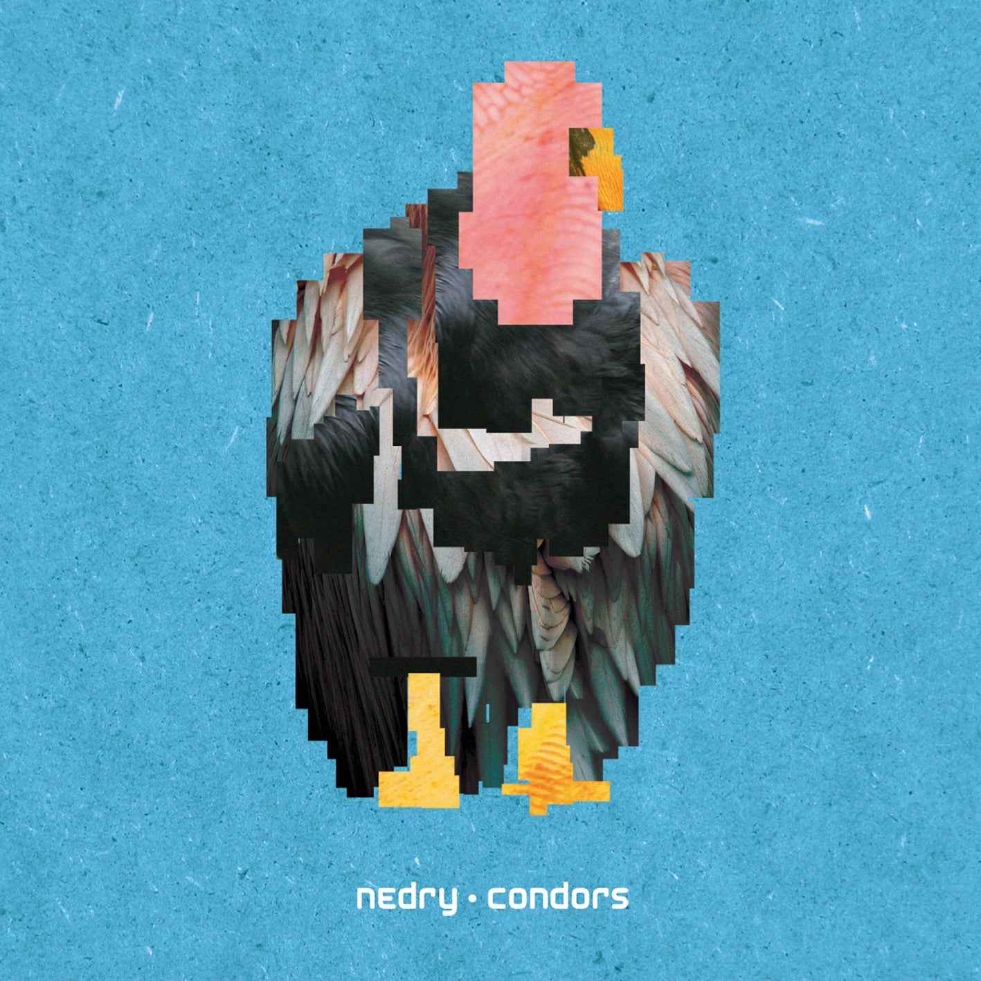 Condors [CD]
