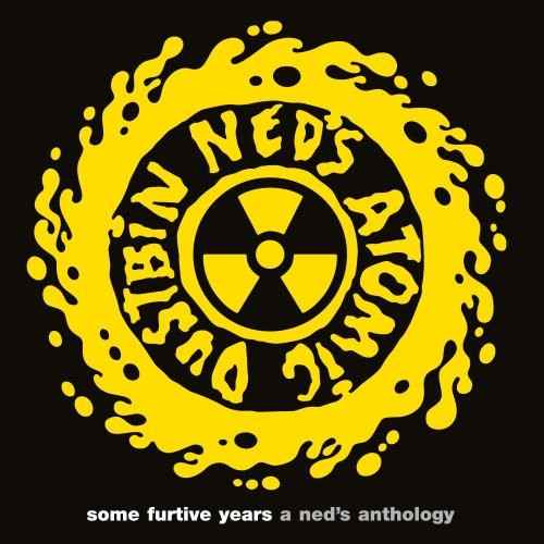 Ned'S Atomic Dustbin - Some Furtive Years: A Ned'S Anthology (180G) [Yellow Flame Vinyl] [2LP] [Vinyl]