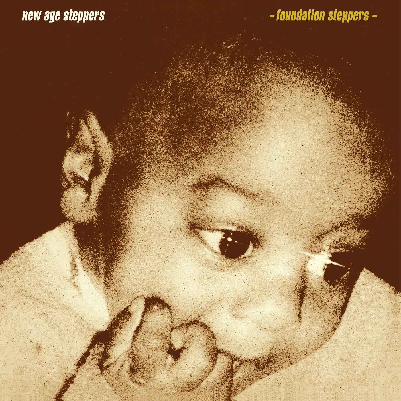Foundation Steppers [Vinyl]