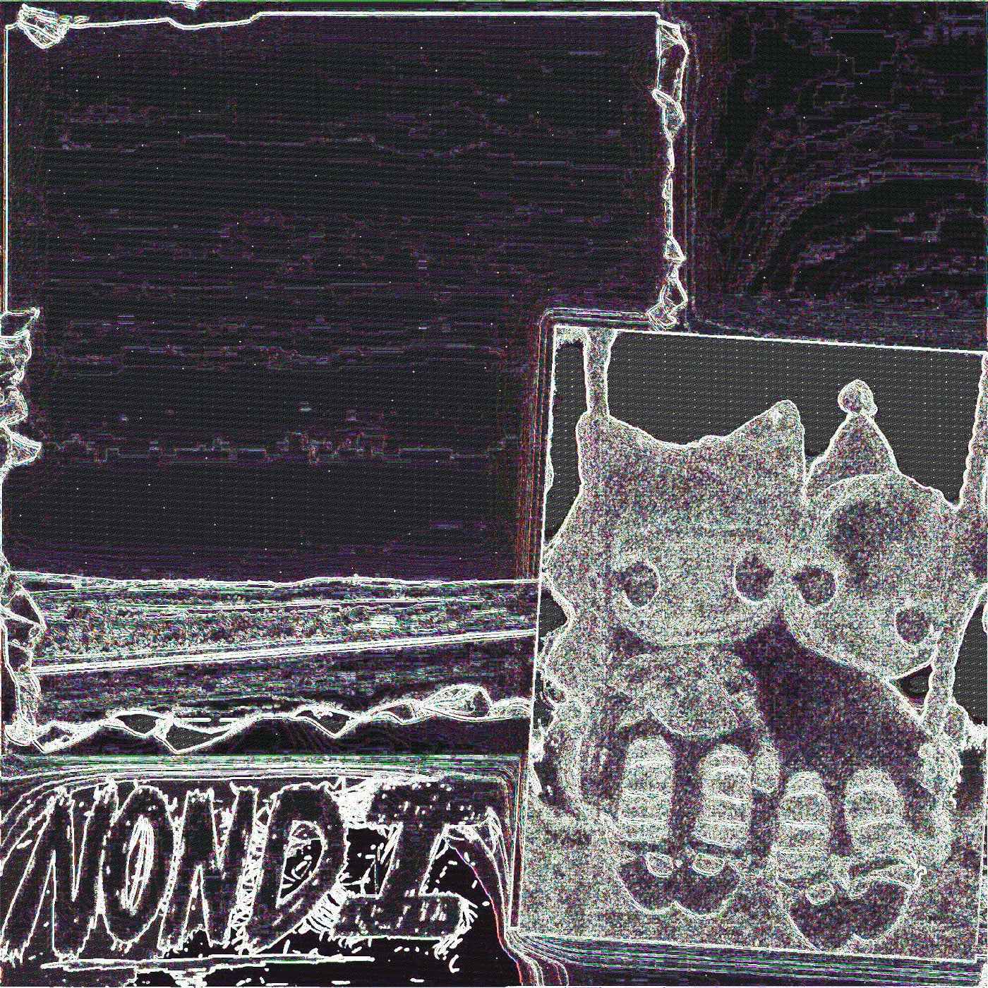 Nondi... [Vinyl]