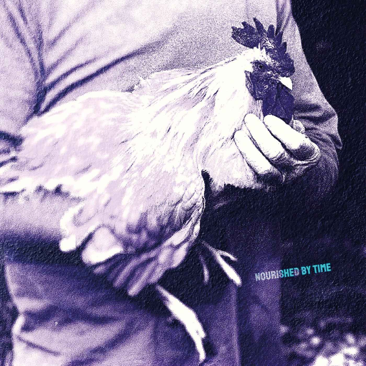 Nourished by Time - Catching Chickens EP [Vinyl]